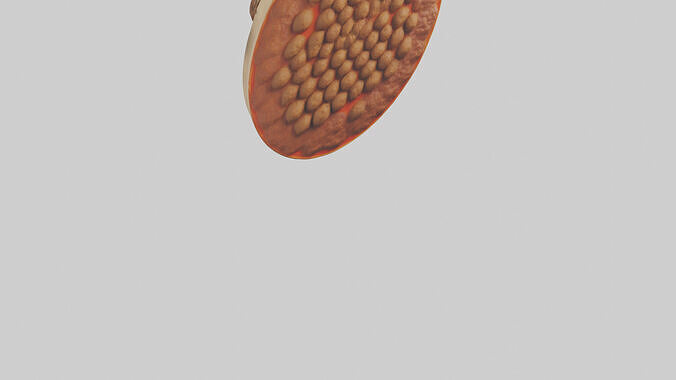 Meatball platter model Low-poly 3D model 4