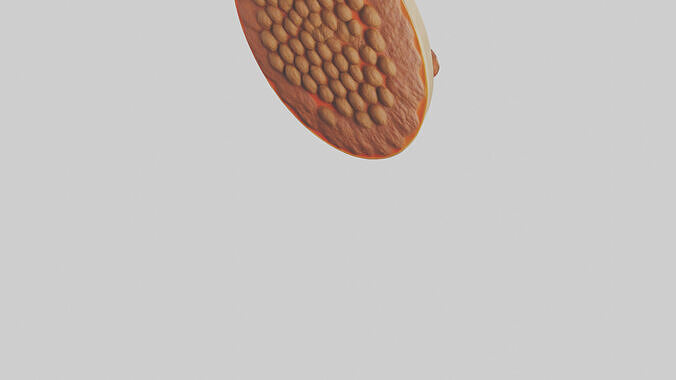 Meatball platter model Low-poly 3D model 5