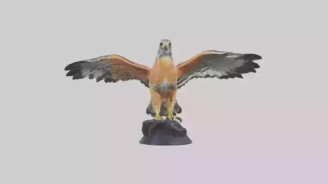 Redshouldered Hawk statue model Low-poly 3D model