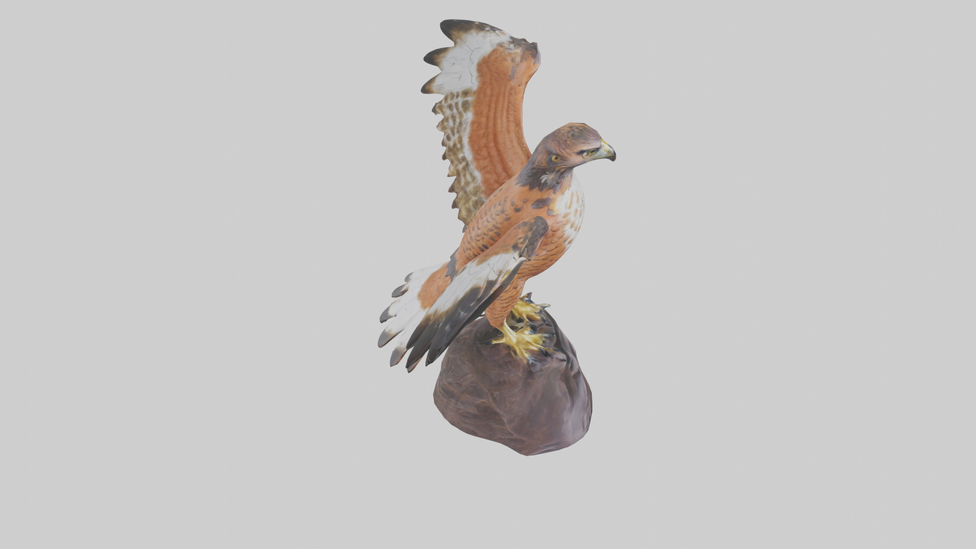 Redtailed Hawk statue model Low-poly 3D model_18