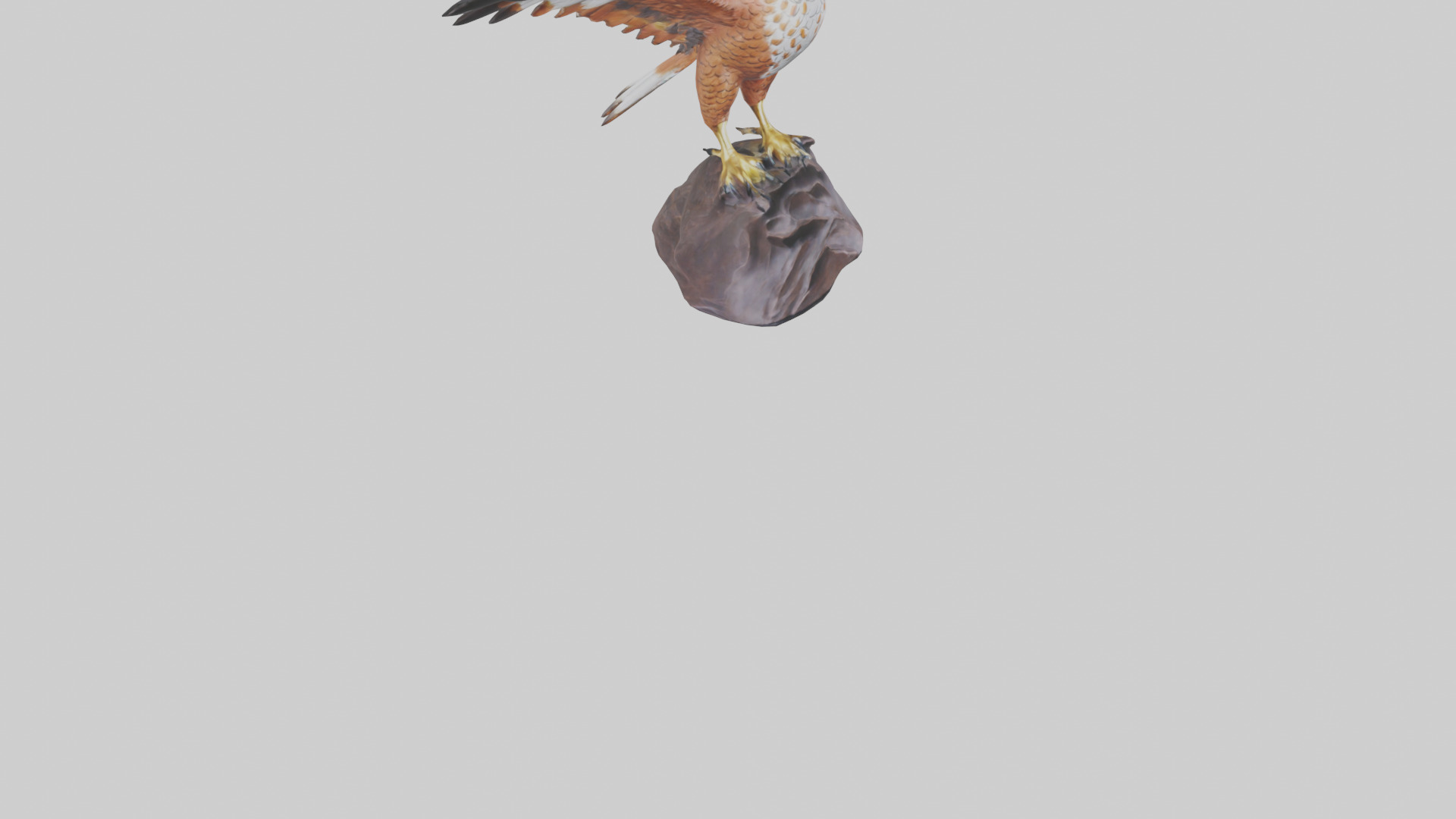 Redtailed Hawk statue model Low-poly 3D model_8