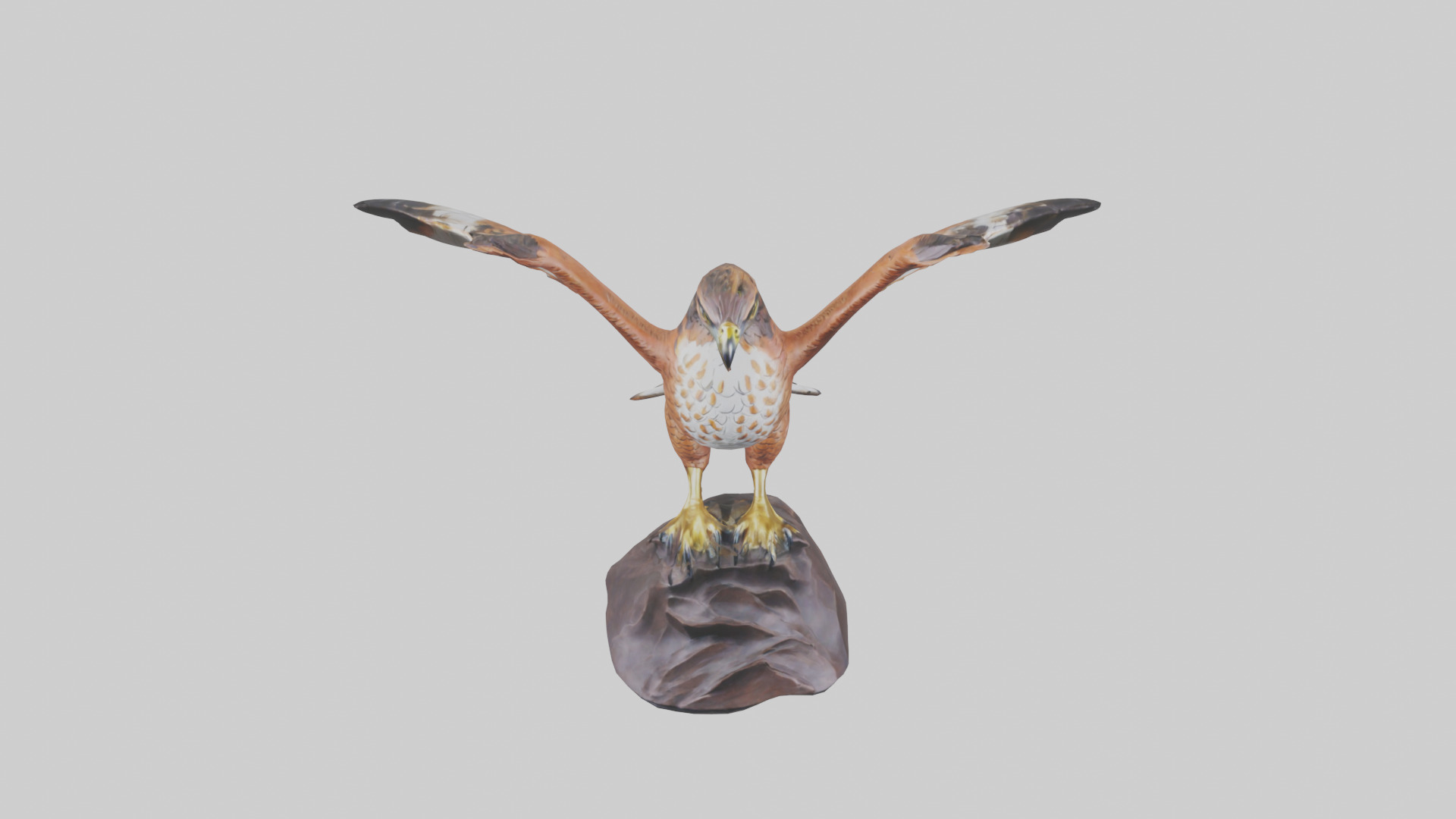 Redtailed Hawk statue model Low-poly 3D model_16