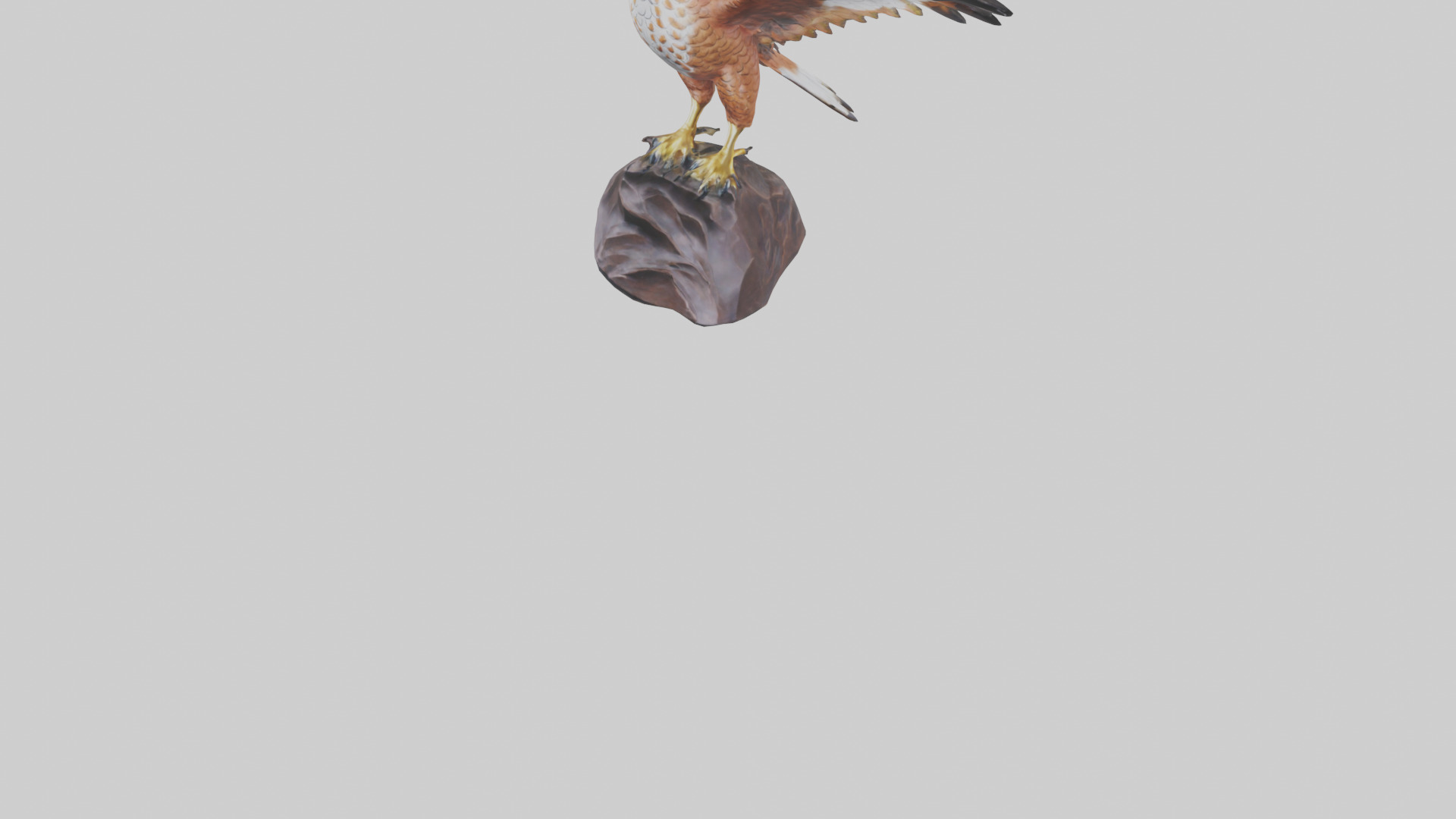 Redtailed Hawk statue model Low-poly 3D model_7