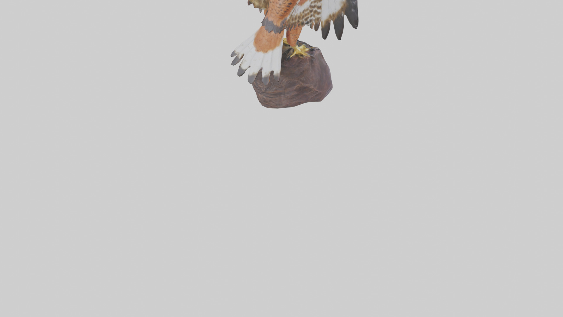 Redtailed Hawk statue model Low-poly 3D model_6