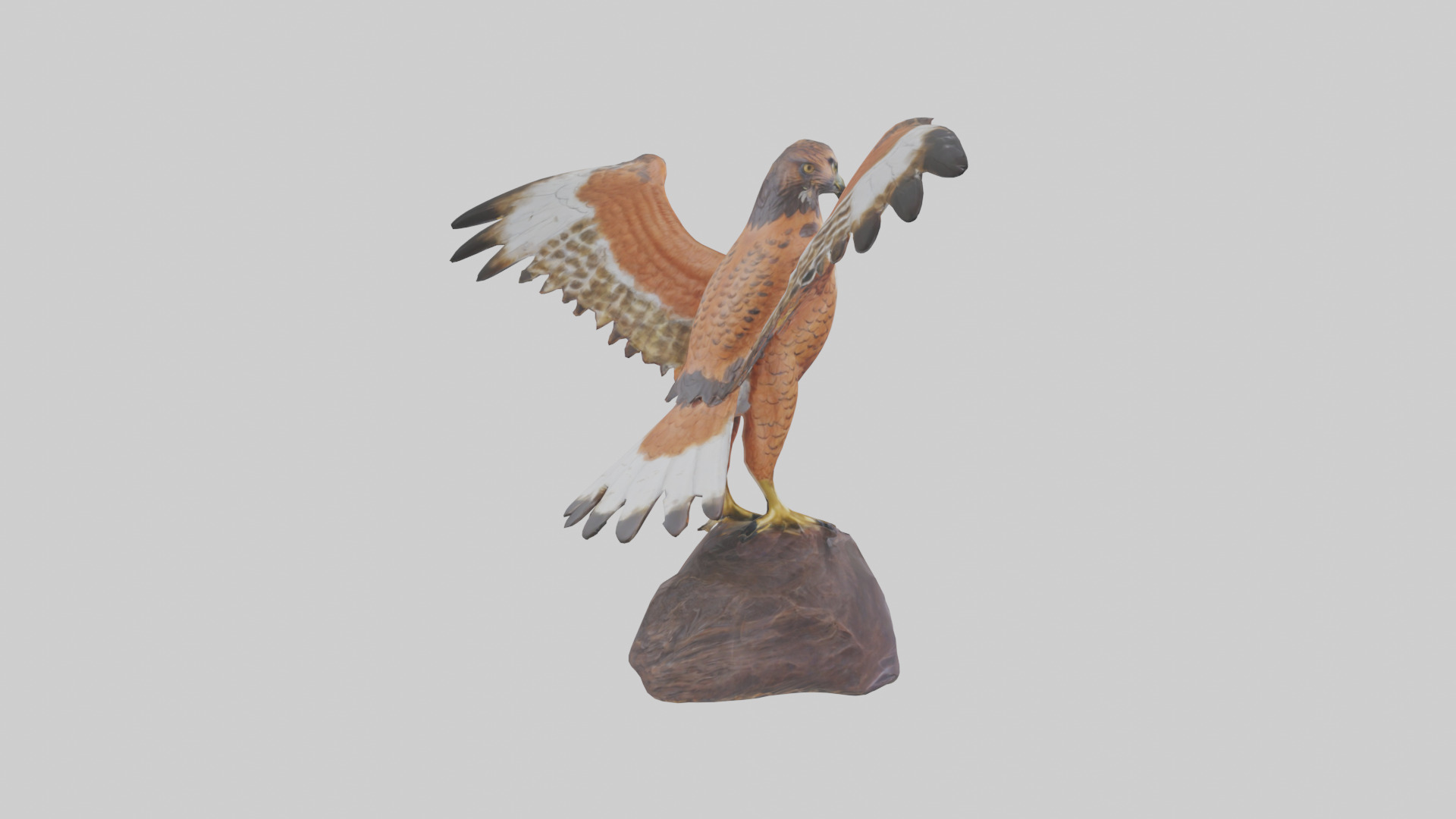 Redtailed Hawk statue model Low-poly 3D model_4