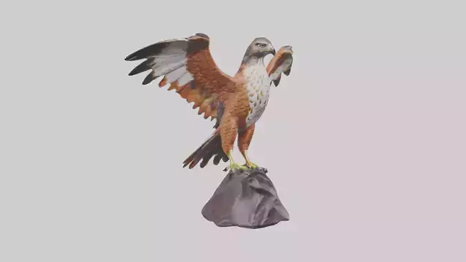 Redtailed Hawk statue model Low-poly 3D model