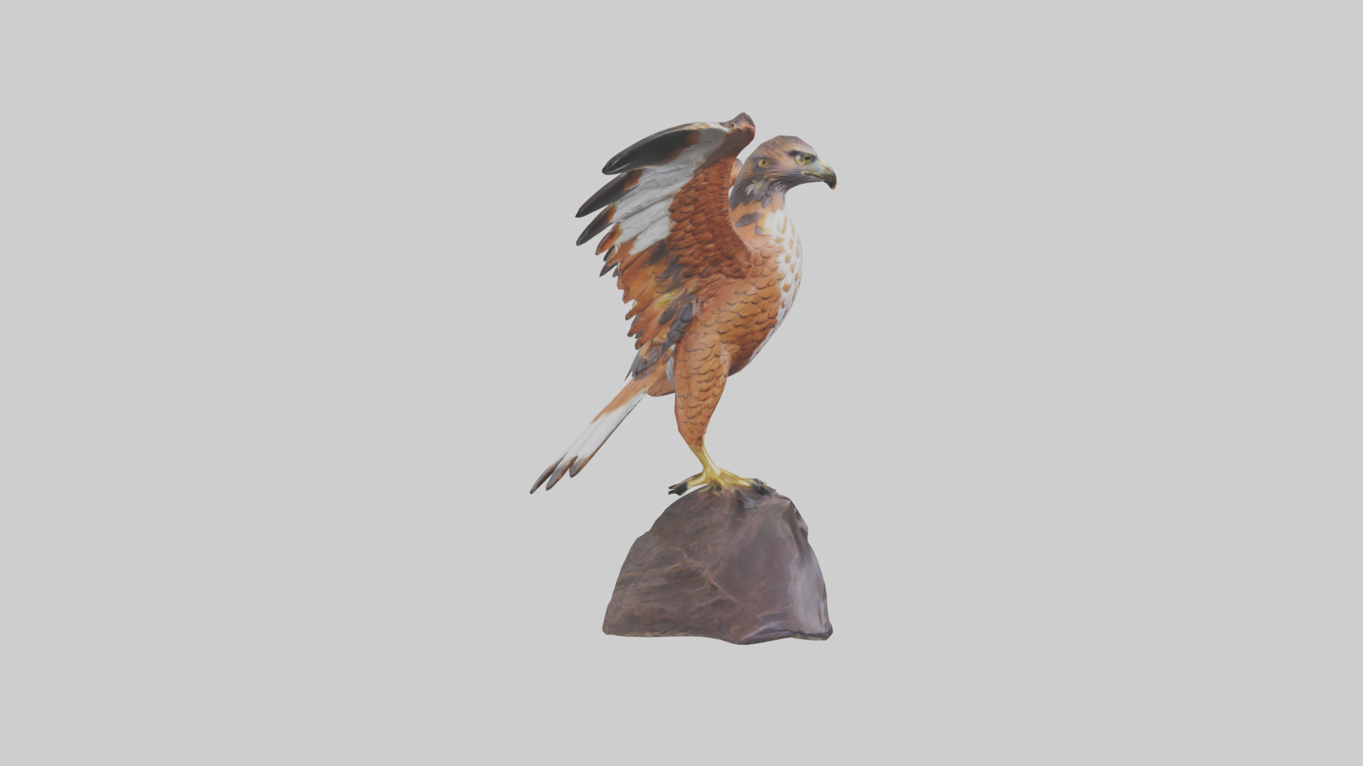 Redtailed Hawk statue model Low-poly 3D model_13