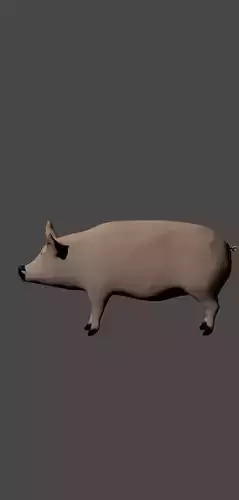 Highly detailed pig model low poly but realistic