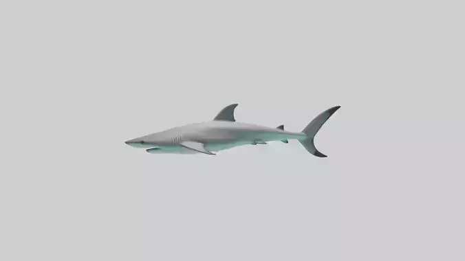 Reef Shark swimming model Low-poly 3D model