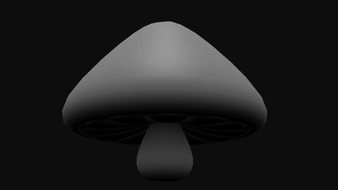 Muschroom mushroom