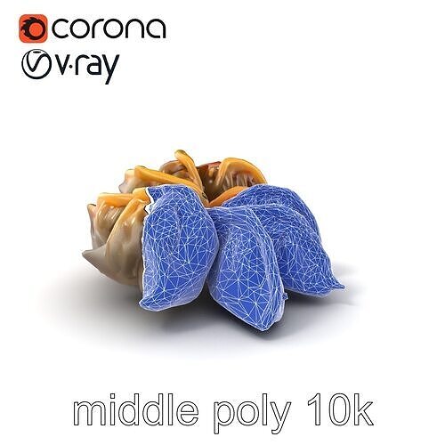 Korean Dumplings Plate Realistic Texture Model Pack Low-poly 3D model 6