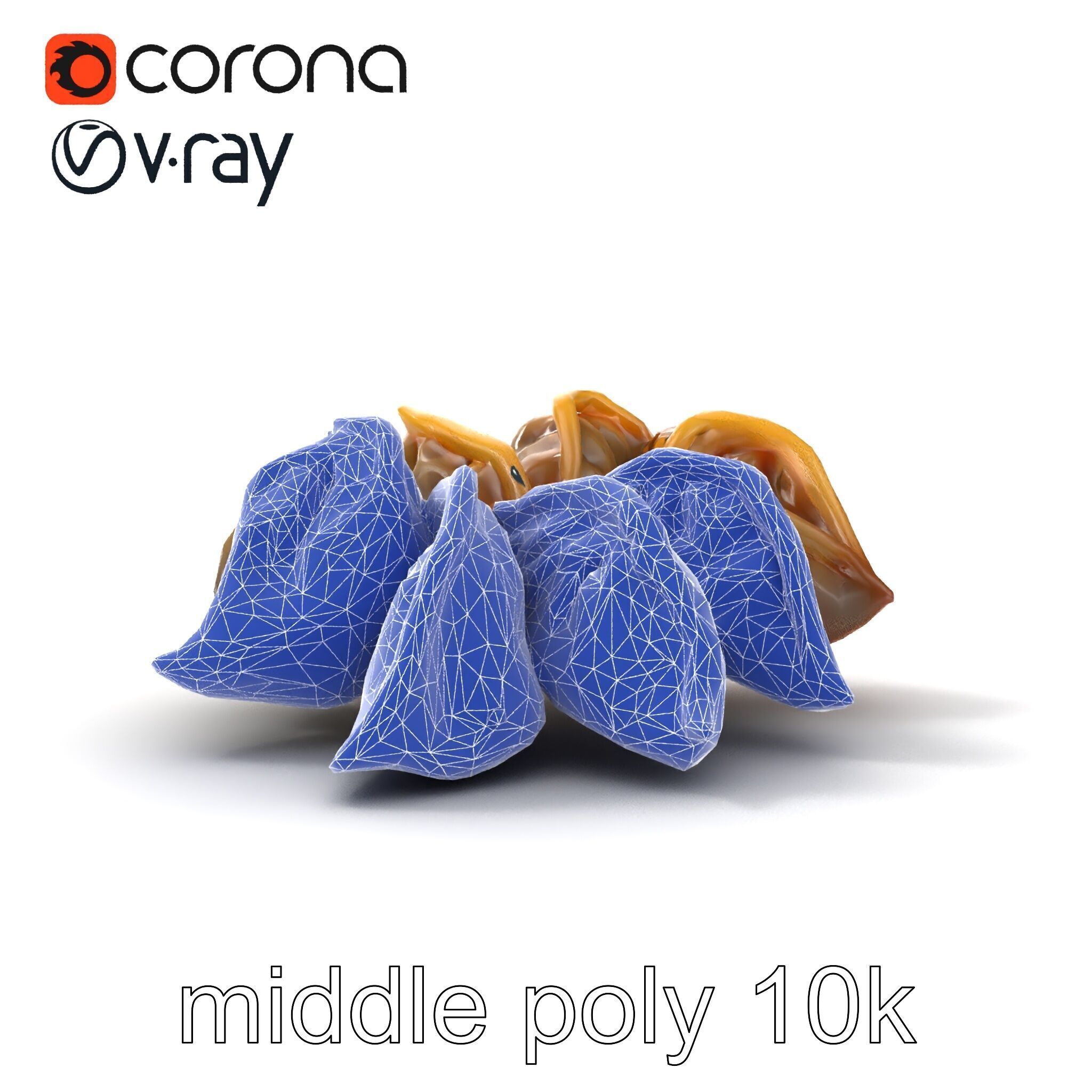 Korean Dumplings Plate Realistic Texture Model Pack Low-poly 3D model_12