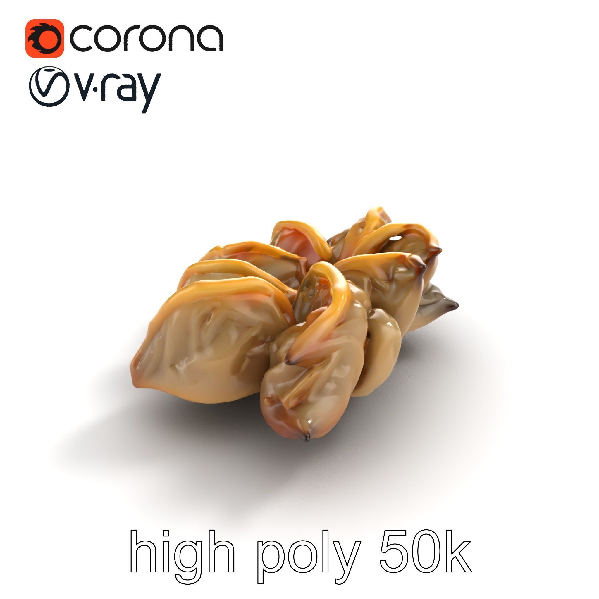 Korean Dumplings Plate Realistic Texture Model Pack Low-poly 3D model_9