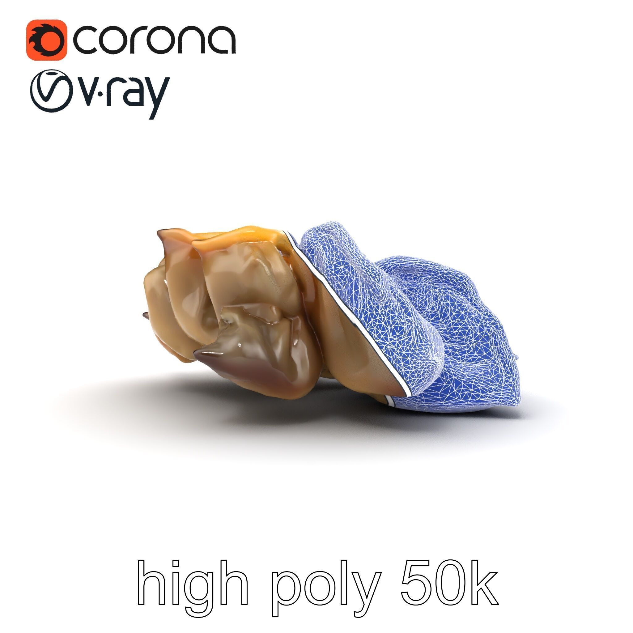 Korean Dumplings Plate Realistic Texture Model Pack Low-poly 3D model_20