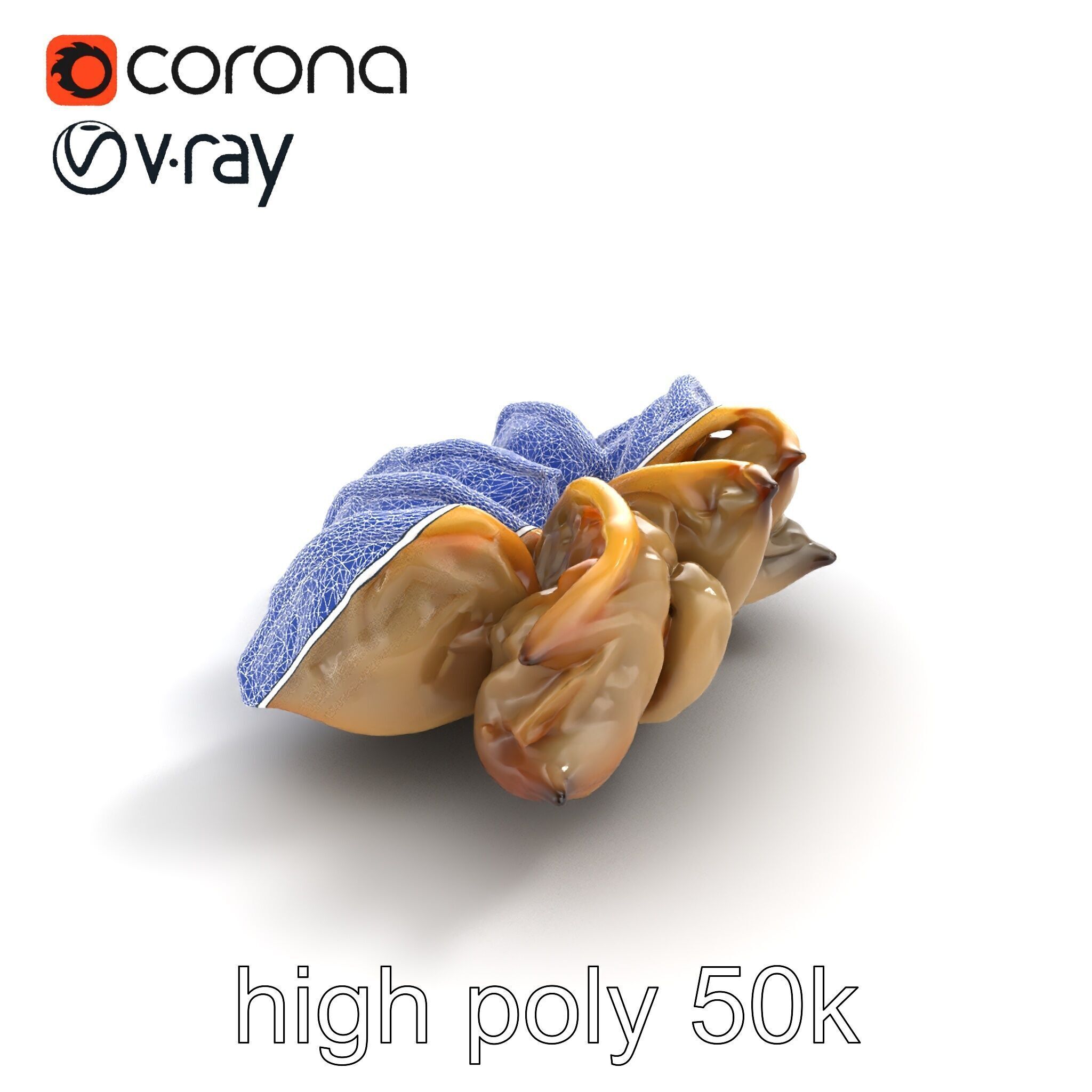 Korean Dumplings Plate Realistic Texture Model Pack Low-poly 3D model_29