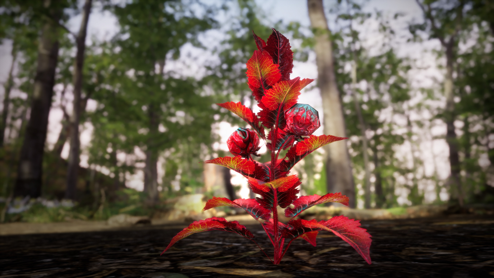 Red Fantasy Forest - 6 Red Spider Fern Grass Plant Low-poly 3D model_1