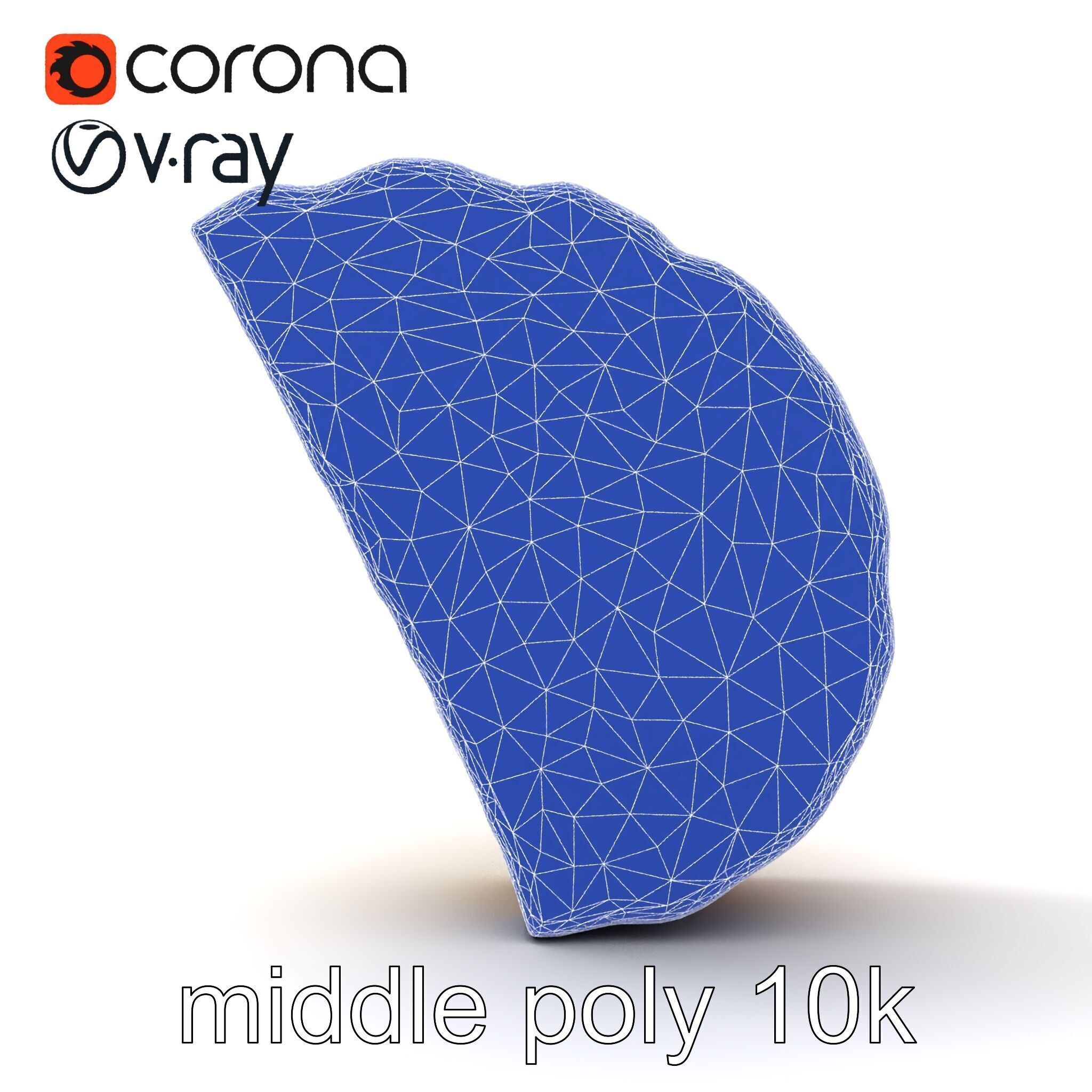 Lifelike Tortilla Chip Golden Crisp Surface model pack Low-poly 3D model_26