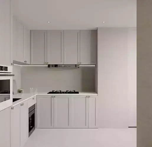 Modern Kitchen