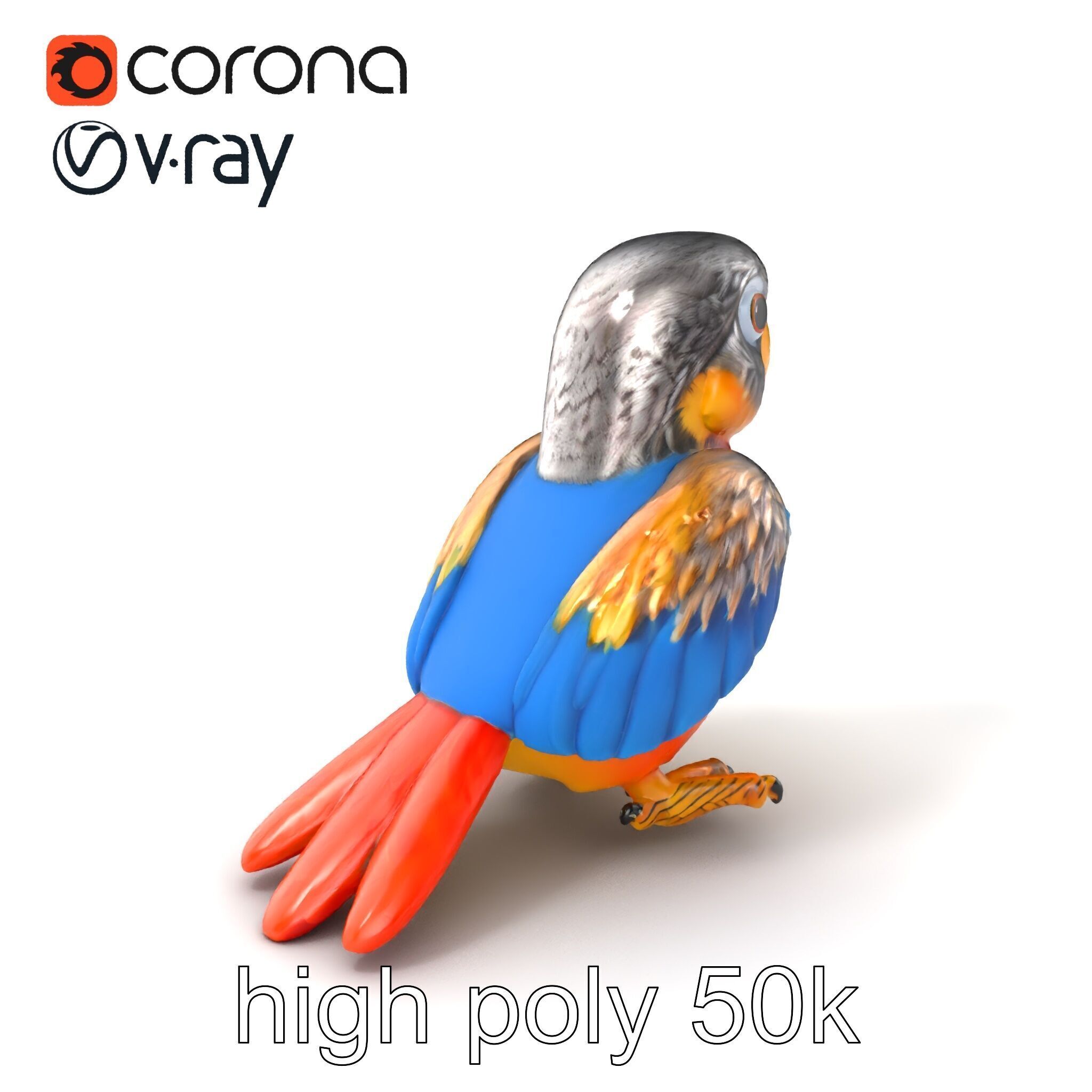 Interactive Talking Parrot Toy model pack Low-poly 3D model_2