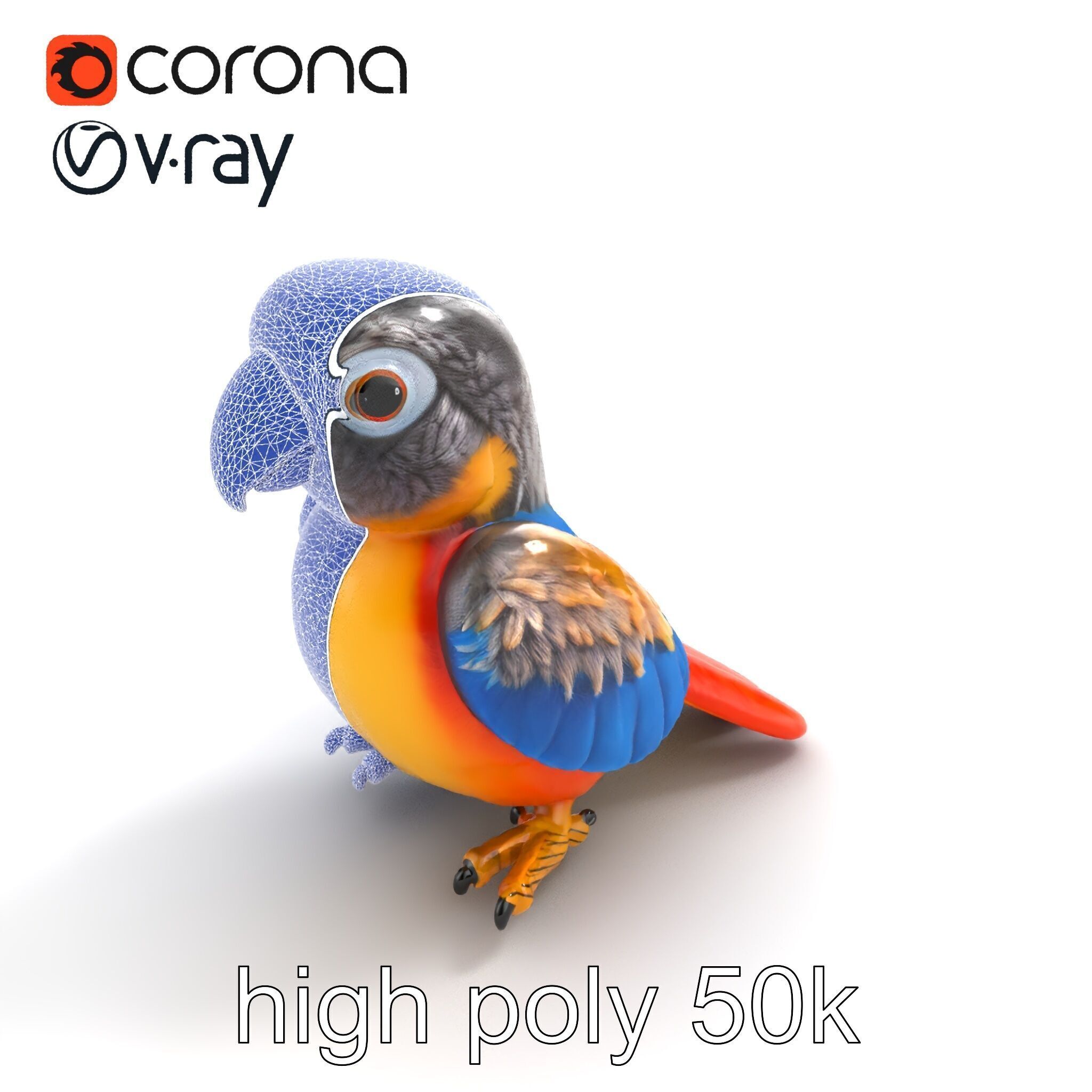 Interactive Talking Parrot Toy model pack Low-poly 3D model_21