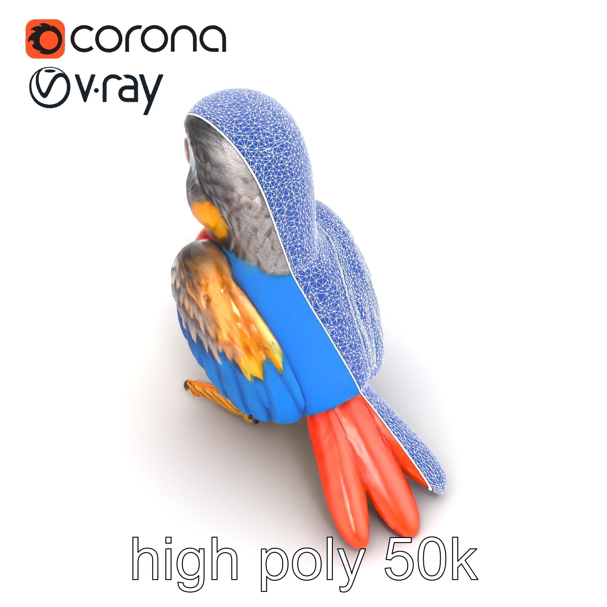 Interactive Talking Parrot Toy model pack Low-poly 3D model_23