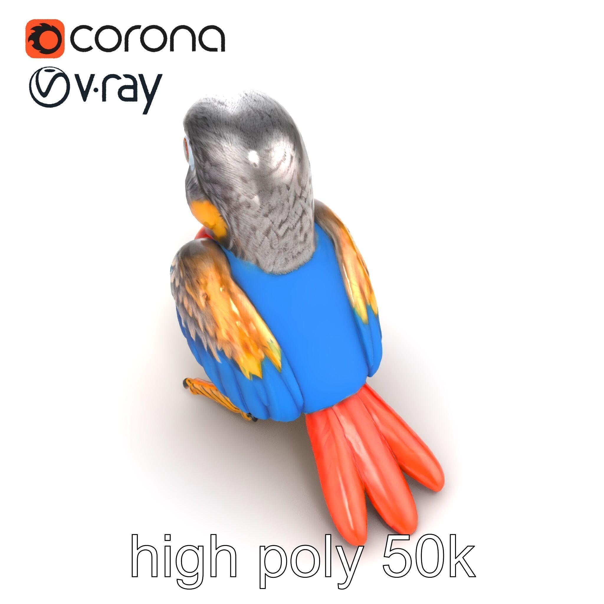 Interactive Talking Parrot Toy model pack Low-poly 3D model_17