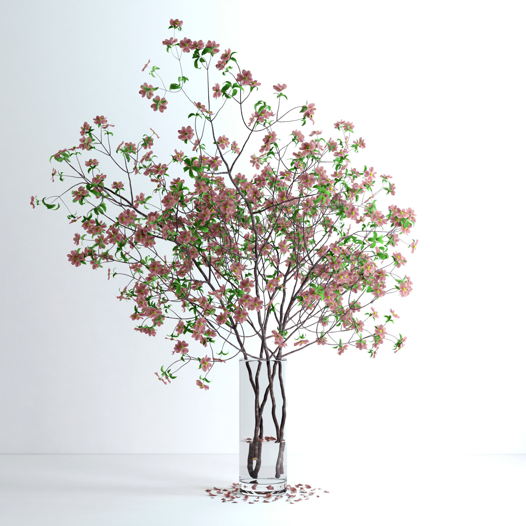 Dogwood Pink Blossom 3D model_3