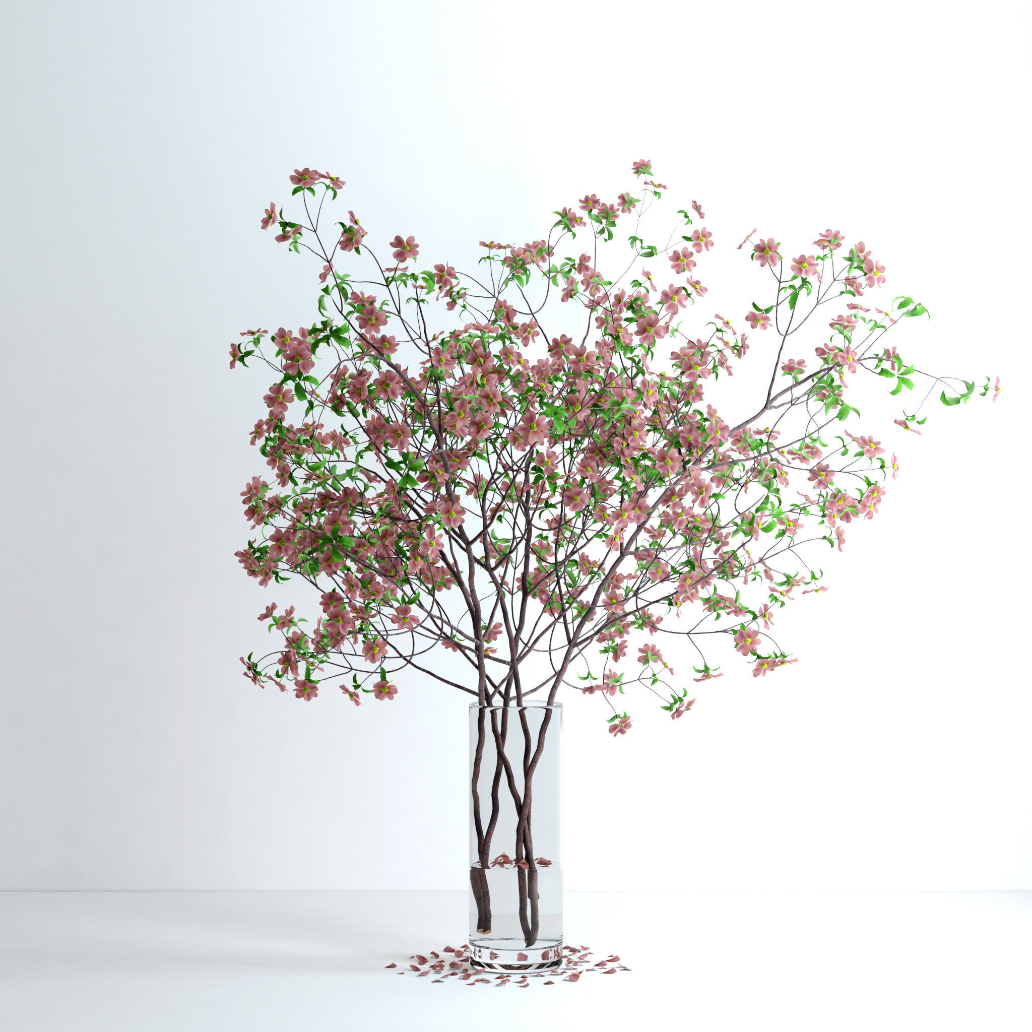 Dogwood Pink Blossom 3D model_6