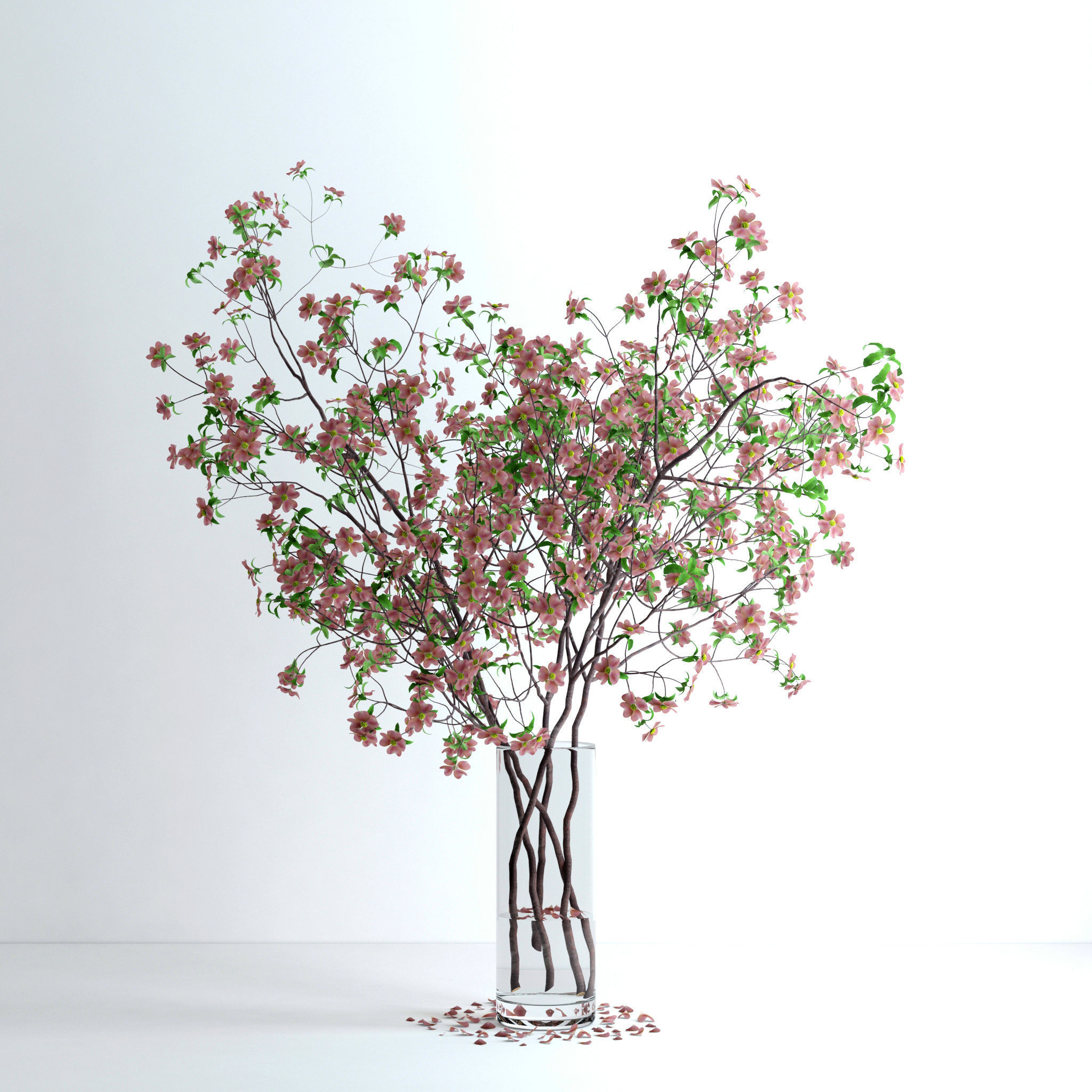 Dogwood Pink Blossom 3D model_5