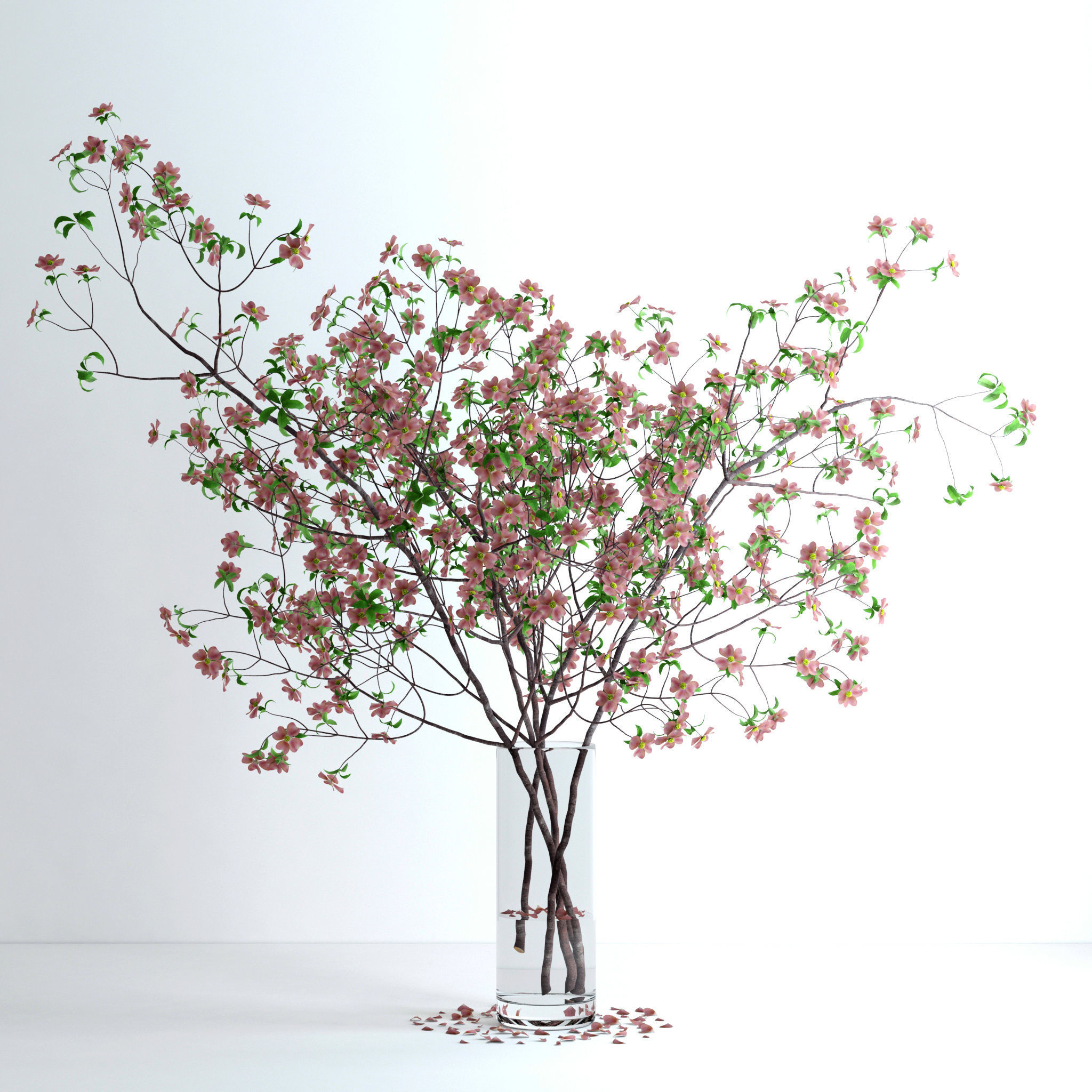 Dogwood Pink Blossom 3D model_4