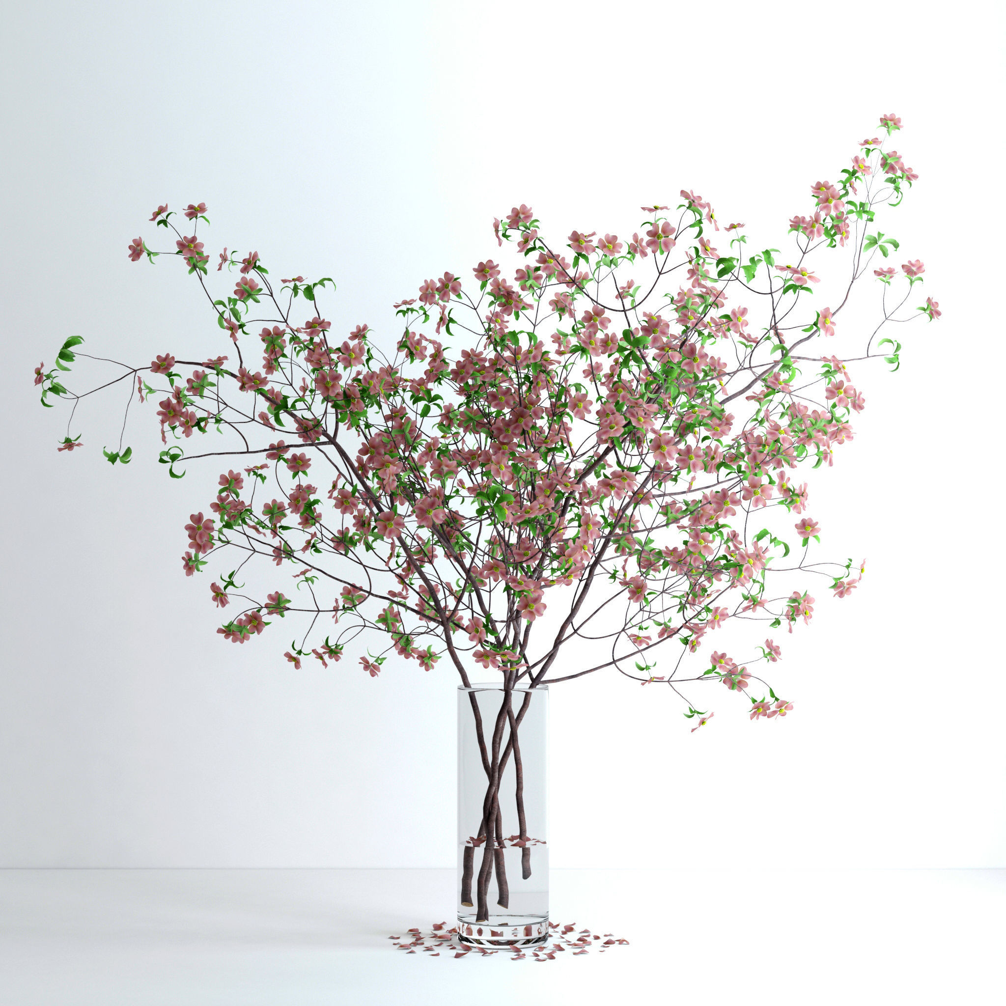 Dogwood Pink Blossom 3D model_1