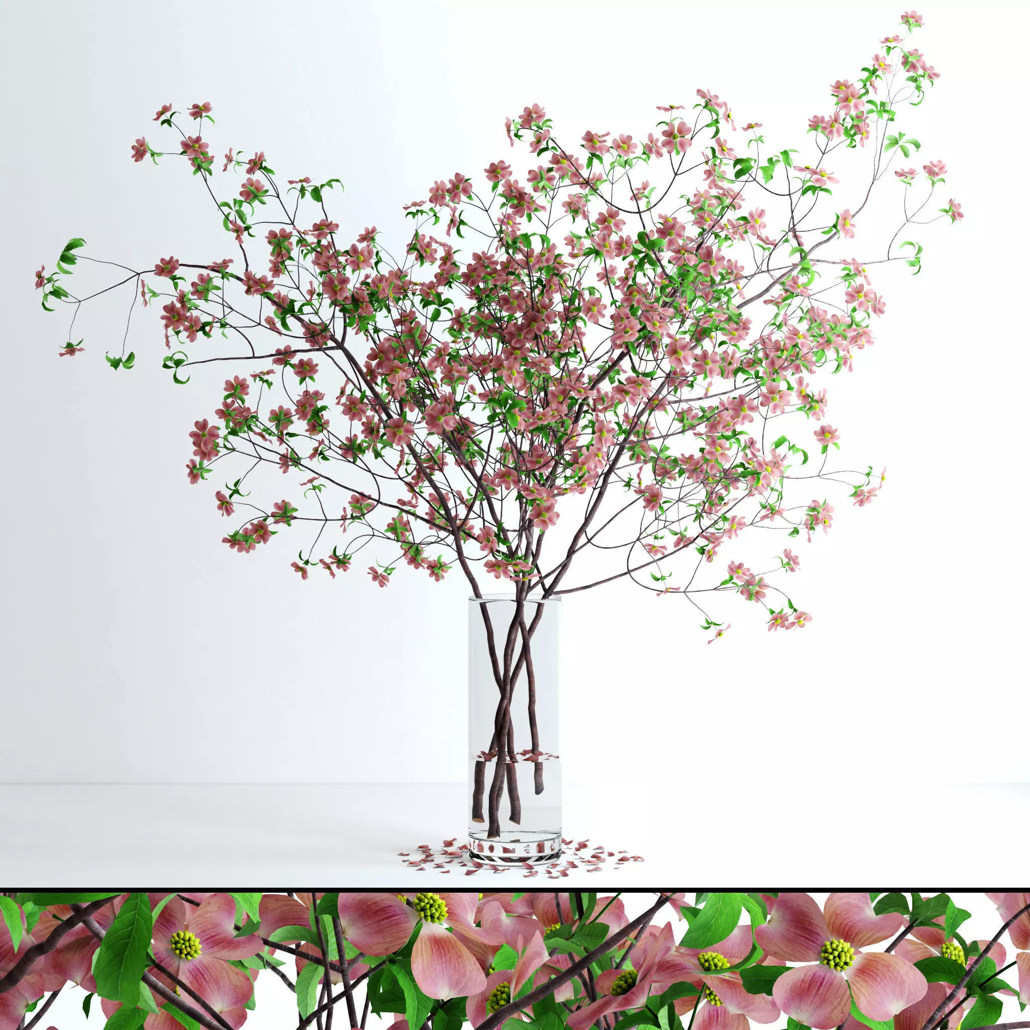 Dogwood Pink Blossom 3D model_0