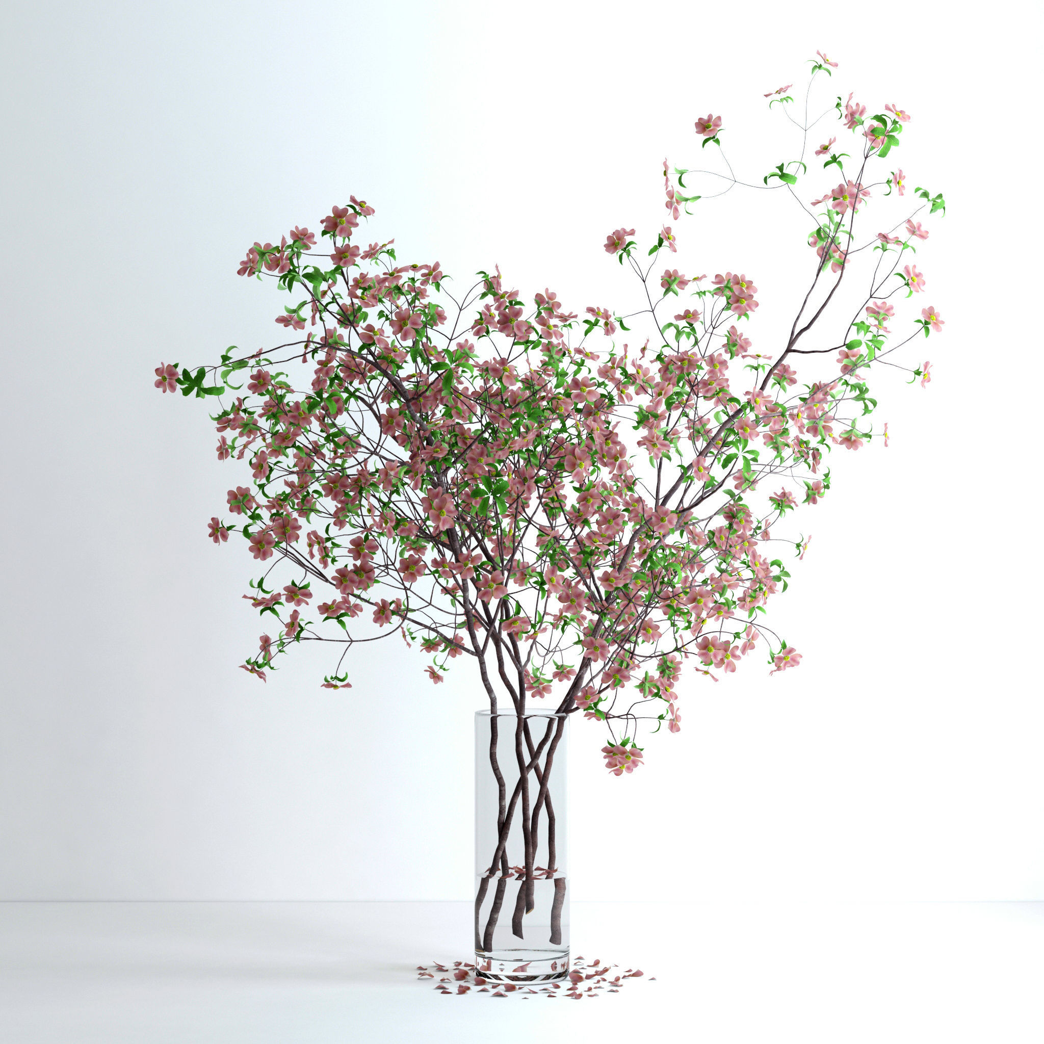 Dogwood Pink Blossom 3D model_2