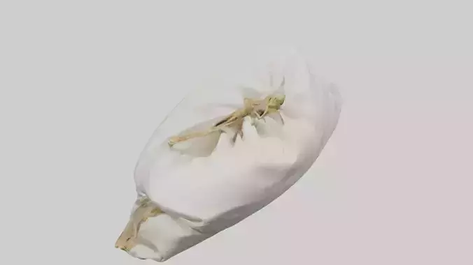 Rice Bag model Low-poly 3D model
