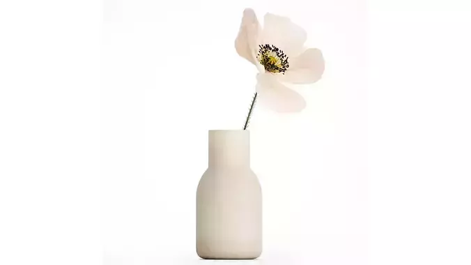 Bouquet Of Beautiful Wild Flower Icelandic Poppy 517 3D model