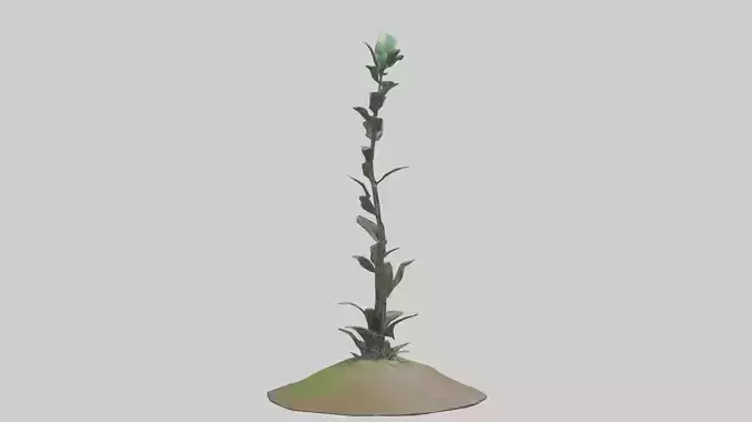 Rising Plant Sculpture model Low-poly 3D model