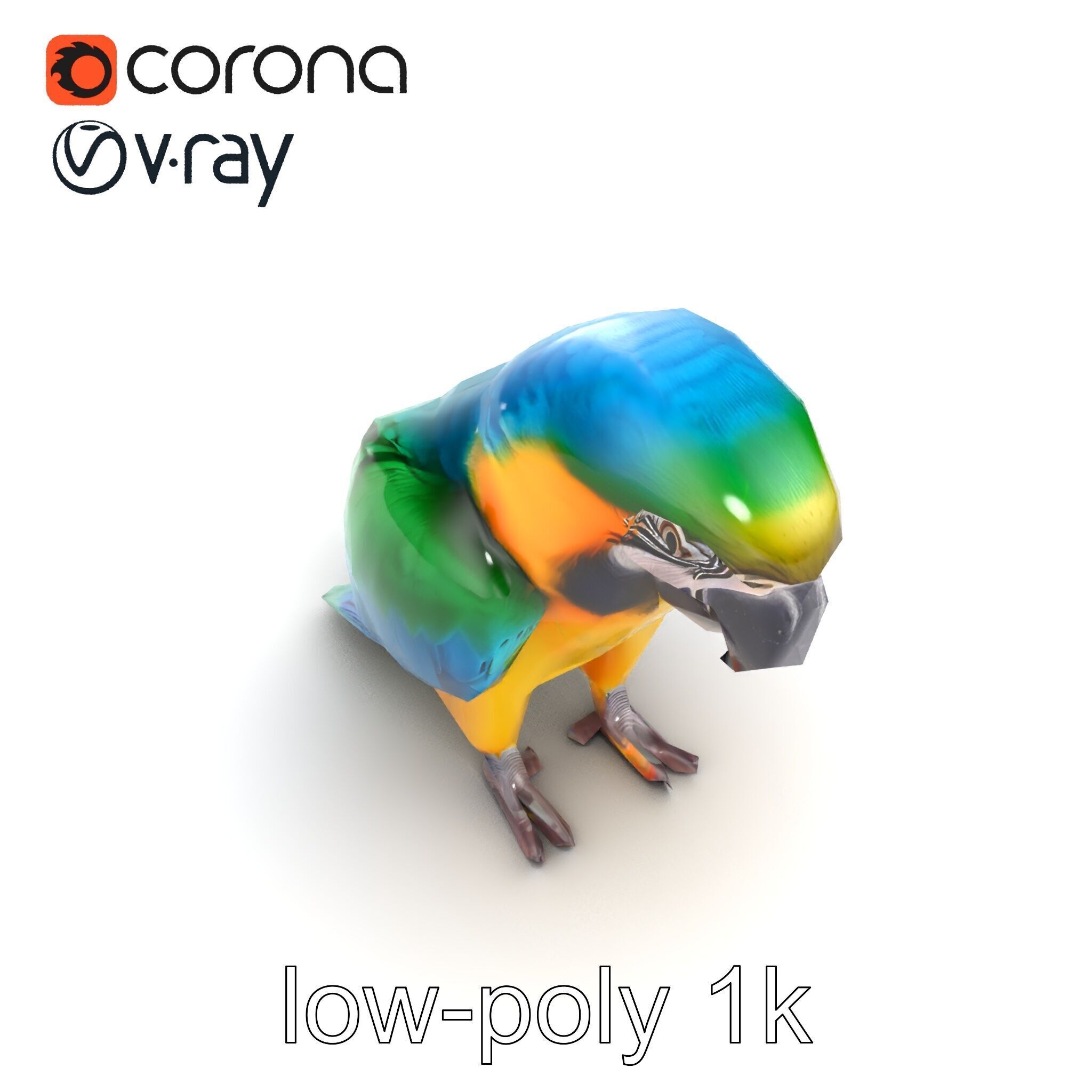 Vibrant Macaw Bird model pack Low-poly 3D model_14
