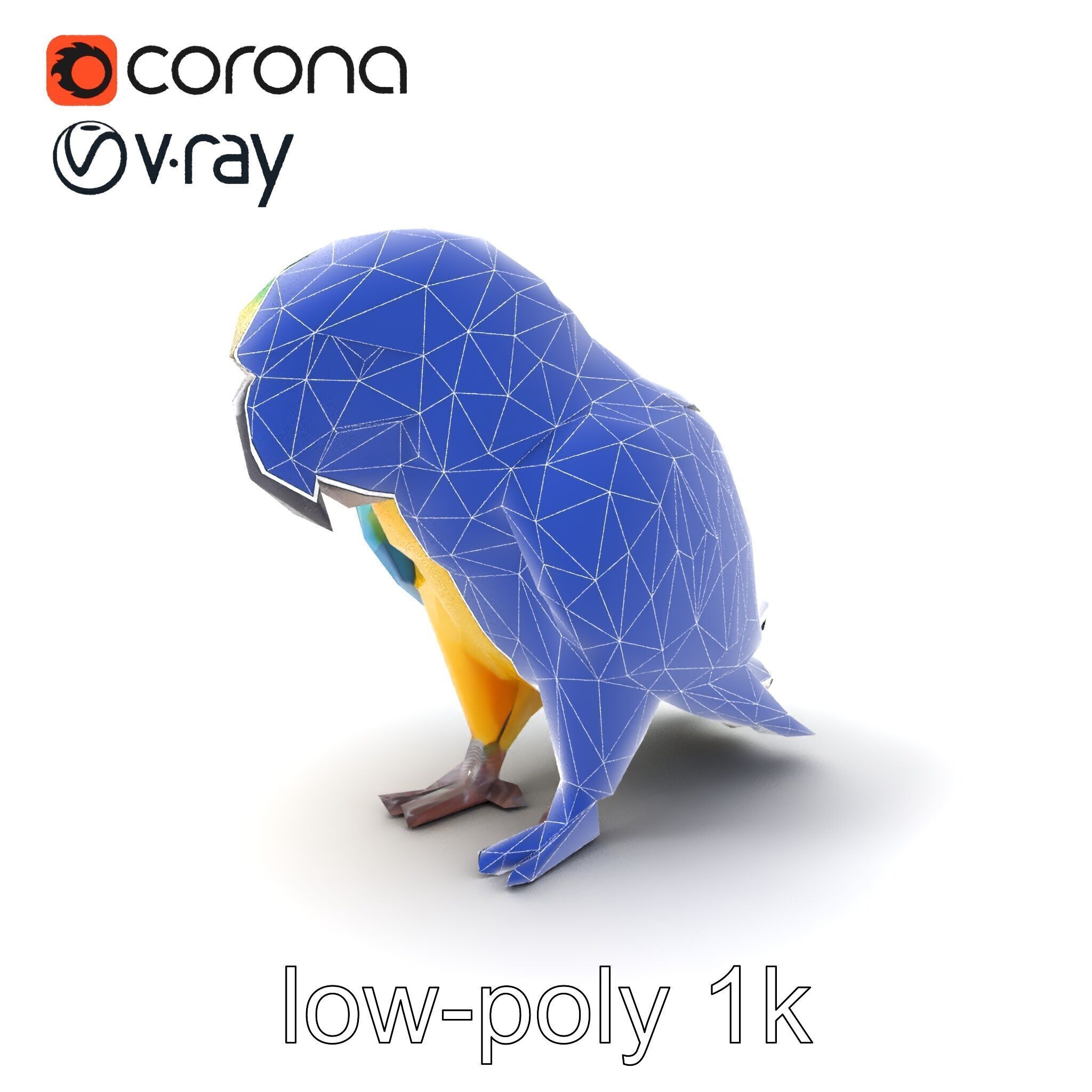Vibrant Macaw Bird model pack Low-poly 3D model_7