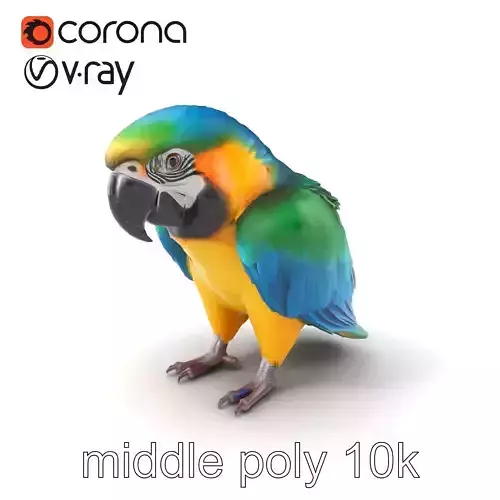 Vibrant Macaw Bird model pack