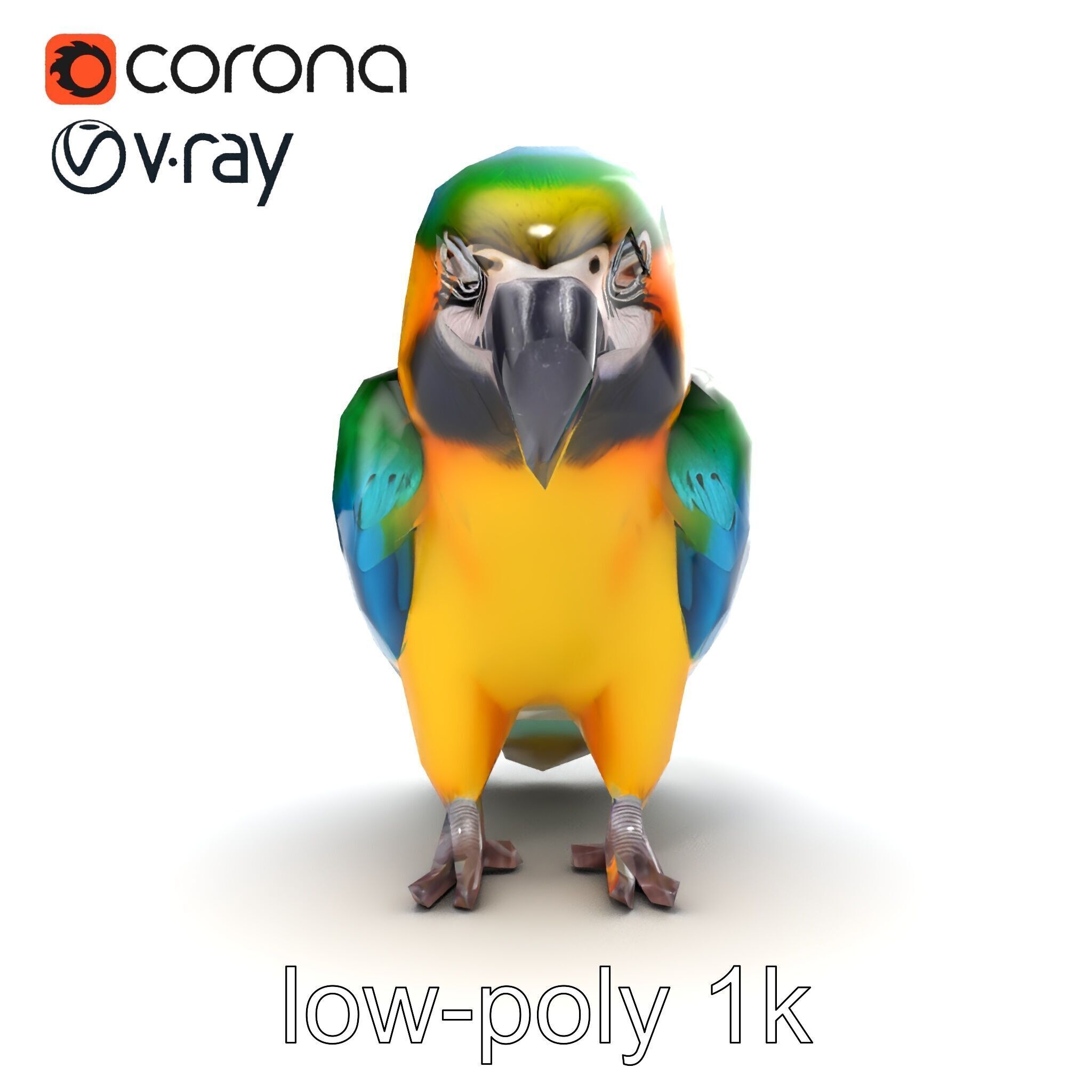 Vibrant Macaw Bird model pack Low-poly 3D model_20