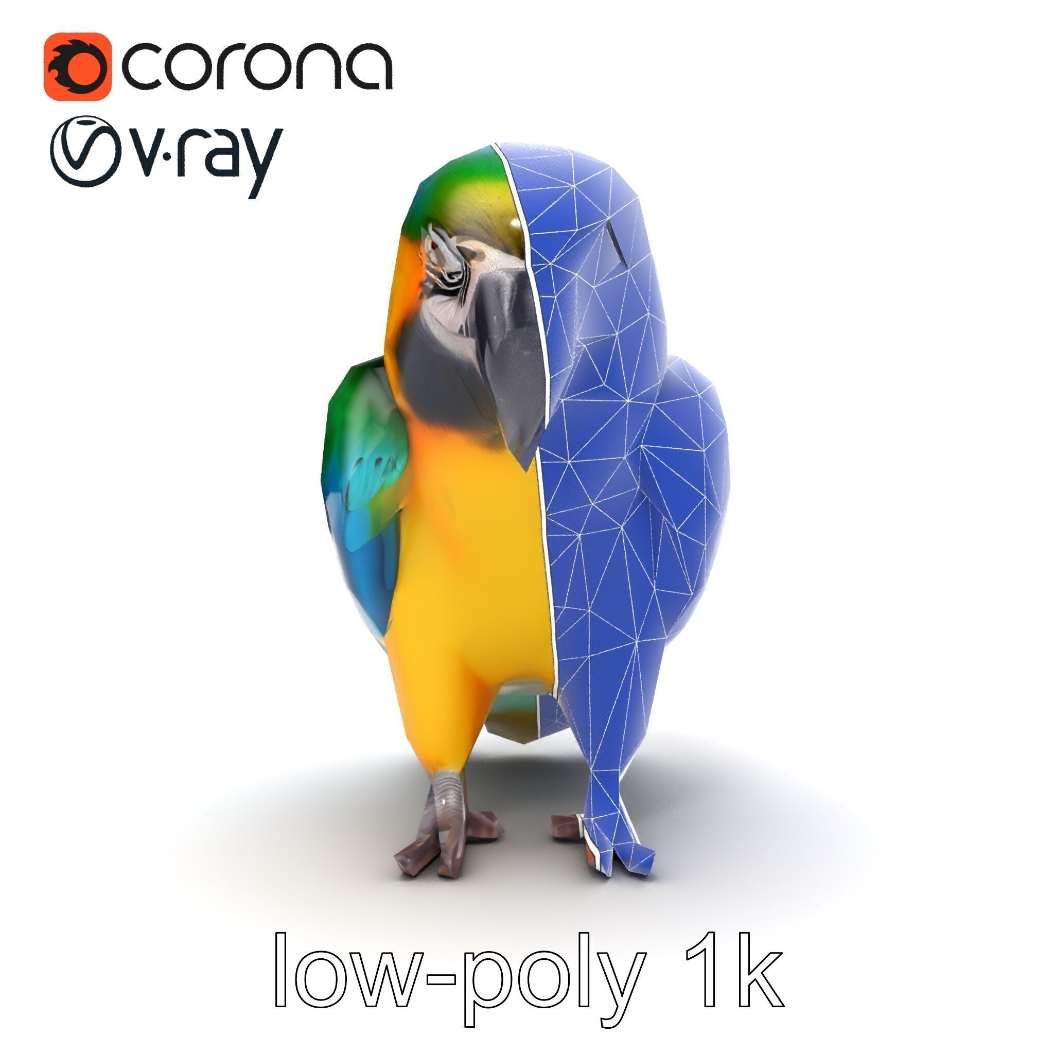 Vibrant Macaw Bird model pack Low-poly 3D model_28