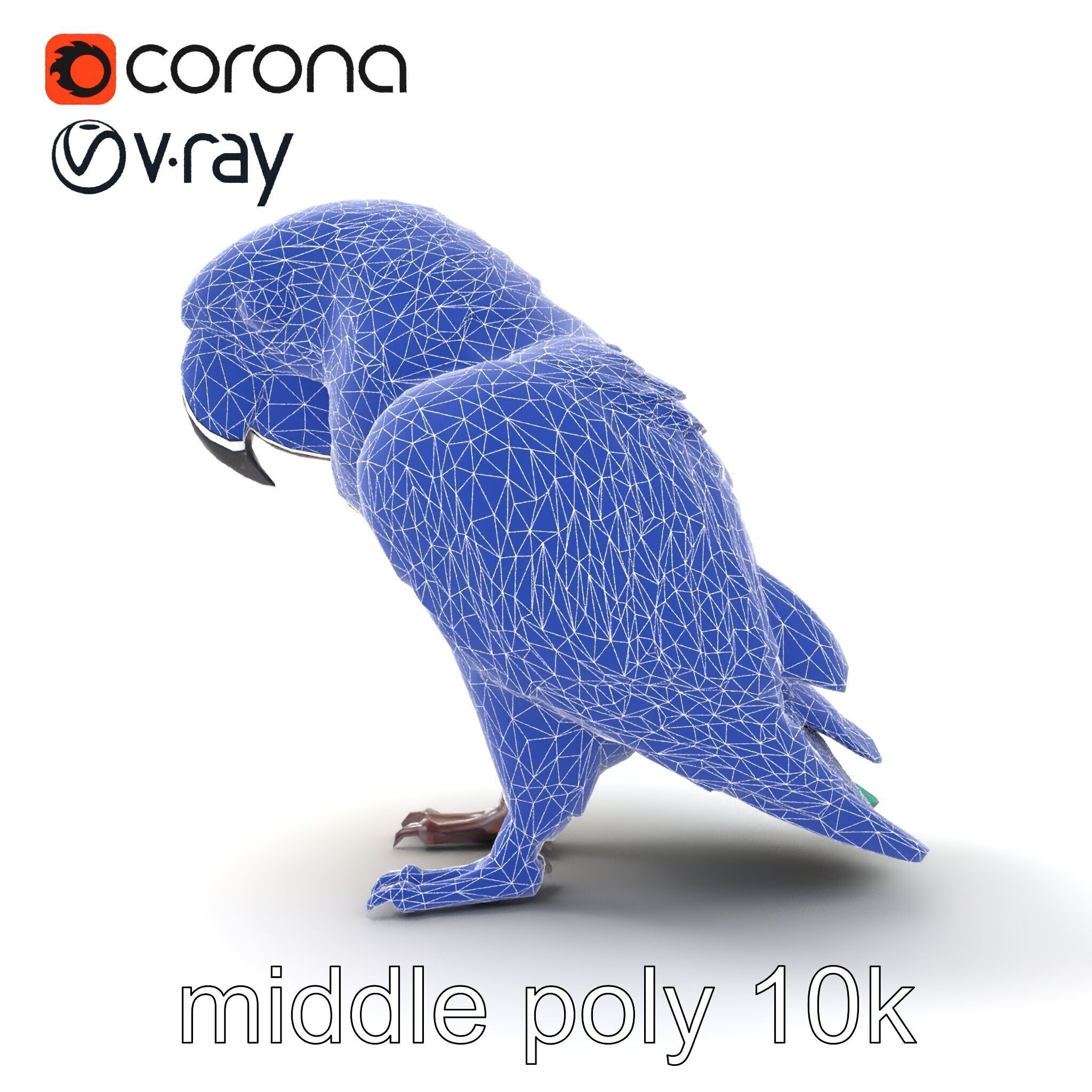 Vibrant Macaw Bird model pack Low-poly 3D model_31