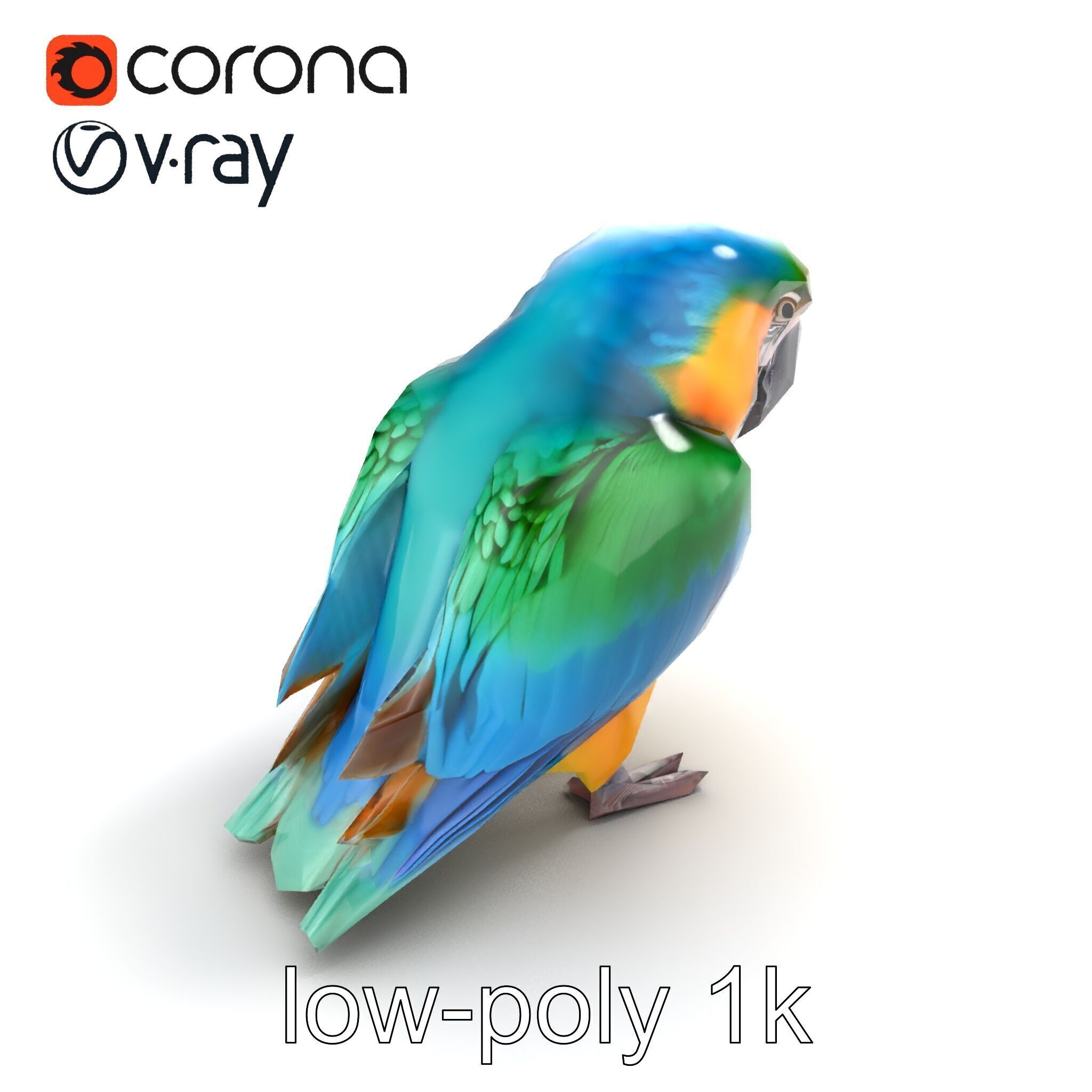Vibrant Macaw Bird model pack Low-poly 3D model_9