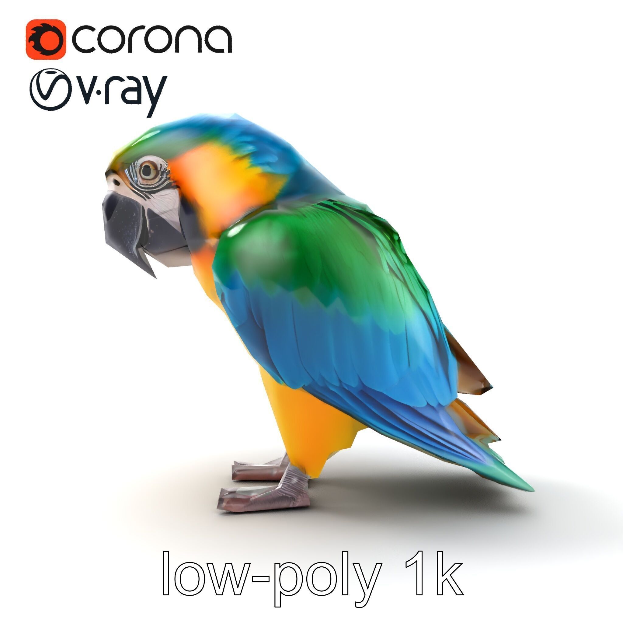 Vibrant Macaw Bird model pack Low-poly 3D model_16