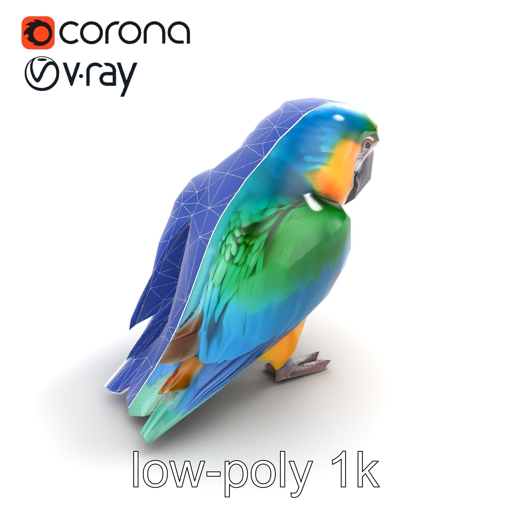 Vibrant Macaw Bird model pack Low-poly 3D model_13