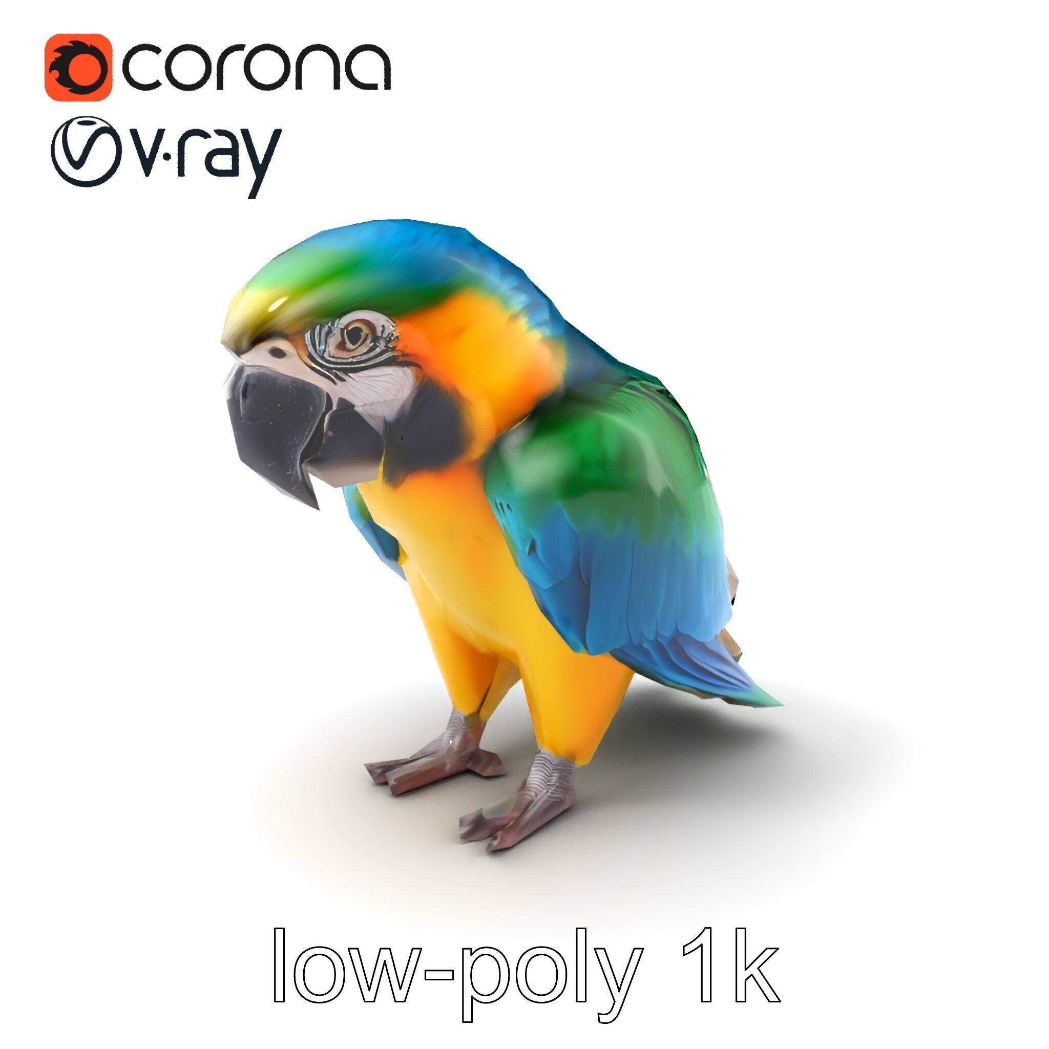 Vibrant Macaw Bird model pack Low-poly 3D model_5