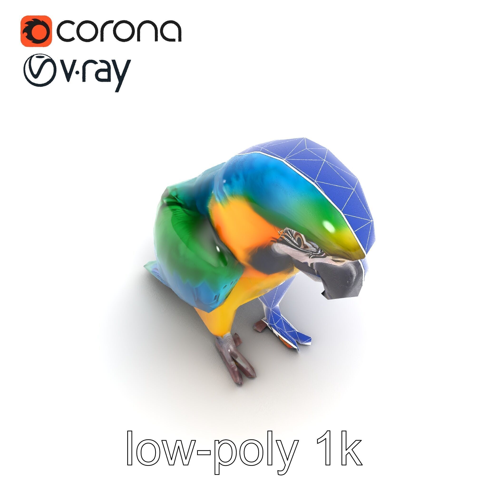 Vibrant Macaw Bird model pack Low-poly 3D model_25