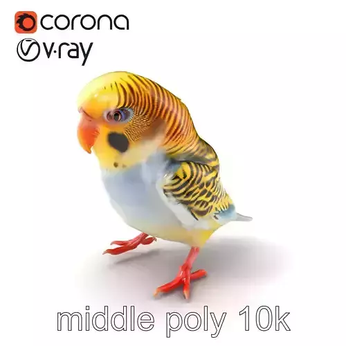 Budgerigar Feathered Bird Sculpture model pack Low-poly 3D model
