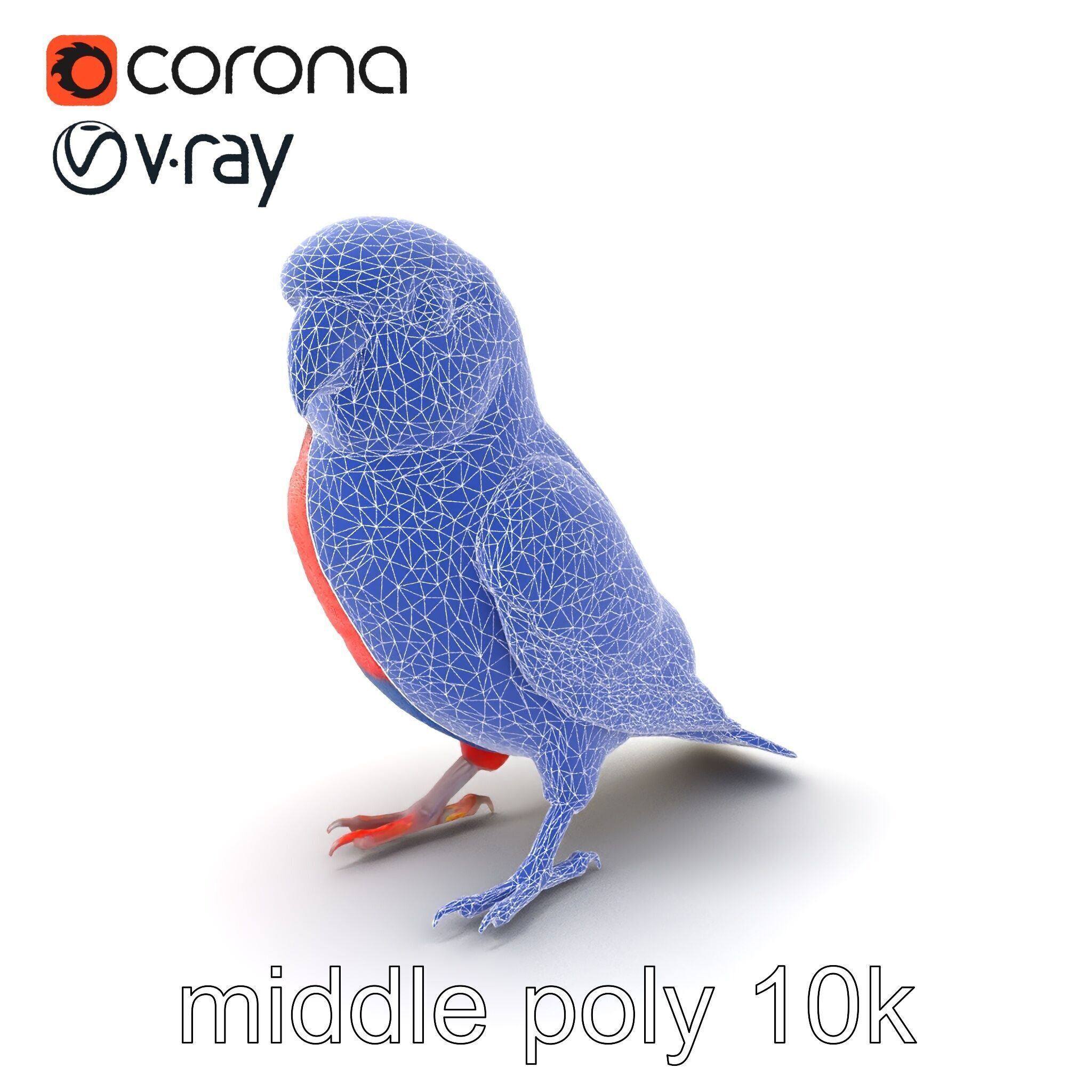 Vibrant Rosella Parrot 3D model pack Low-poly 3D model_6