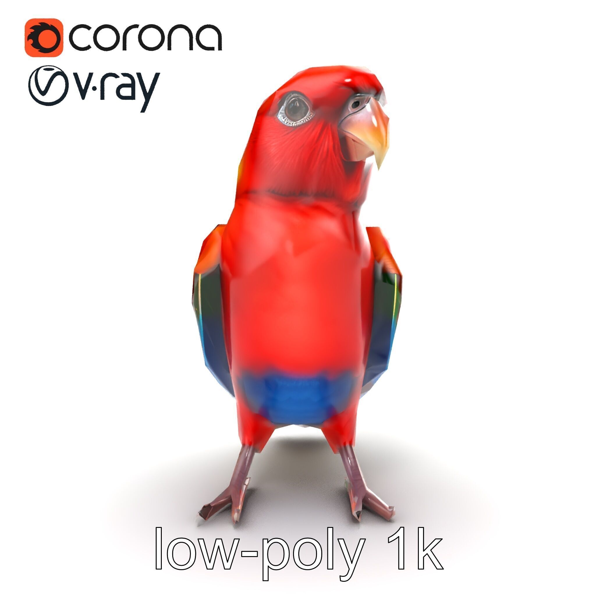 Vibrant Rosella Parrot 3D model pack Low-poly 3D model_20